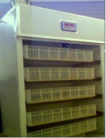 供應廣元市鴿子孵化機，青川縣孵化器，旺蒼縣蛋盤