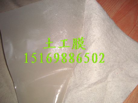 供應(yīng)地基垂直復(fù)合土工膜防滲膜，兩布一膜復(fù)合土工膜價(jià)格15169886502