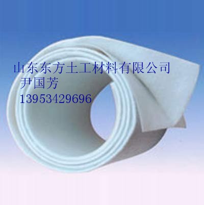 供應(yīng)陜西膨潤土防水毯廠家，防水毯價格東方直銷價格低