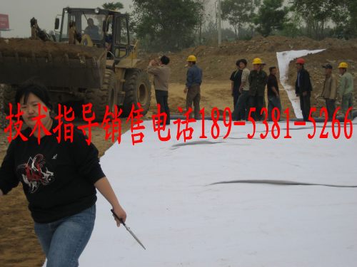 膨潤土防水毯-泰安市華潤土工