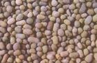 生物陶粒出售、供應華鑠陶粒，鞏義陶粒供應\陶粒濾料,陶粒