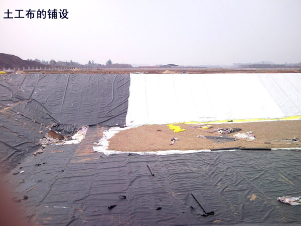 土工膜價格2046供應、泰安土工膜價格2046
