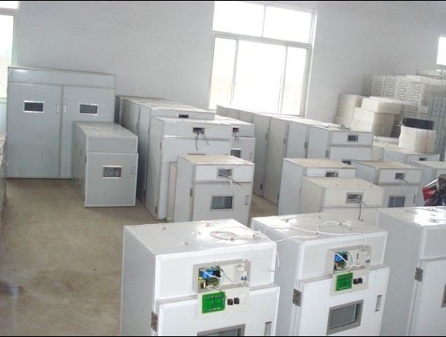 供應(yīng)撫州市鴿子孵化機(jī)、南豐縣鴿子孵化機(jī)、樂安縣孵化機(jī)