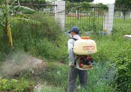 佛山大象有害生物順德白蟻的防治 佛山白蟻防治中心 高明白蟻防治公司 廣東