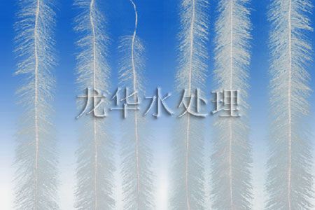 立體彈性填料臺州市指定供應商