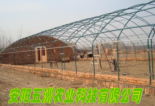 新型養殖大棚 溫室大棚 保溫板溫室大棚 大棚骨架機
