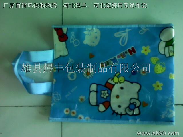 批量供應(yīng)掛裝袋，無紡布掛裝袋，天津高品質(zhì)掛裝袋