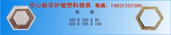 六棱塊護坡塑料模具加工