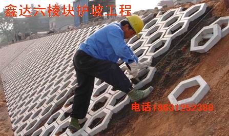 六棱塊護坡塑料模具加工