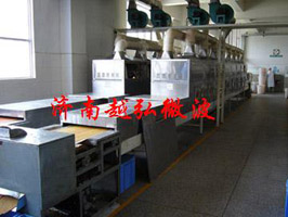 袋裝食品微波sj機(jī) 