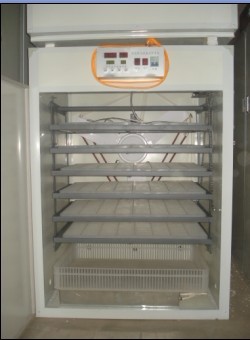 供應安丘市5000枚孵化機、高密市孵化機、昌邑市孵化機