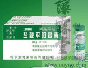 龍血竭含片哪里有賣|龍血竭含片說明書|龍血竭含片療程
