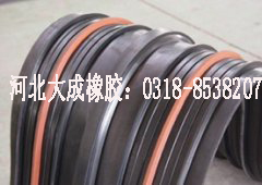 國標(biāo)12MPA 橡膠止水帶