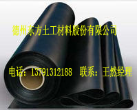 復合土工膜【土工膜報價】土工膜廠家
