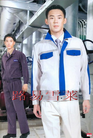 北京|內(nèi)蒙職業(yè)裝定做|職業(yè)裝加工|北京銷售員職業(yè)裝|路易雪萊職業(yè)裝定做廠家|