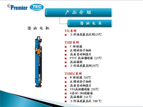 潜油电泵(ts)