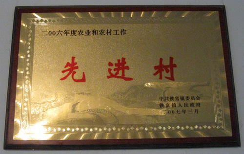 銀杏樹綠化，銀杏種植，銀杏樹管理
