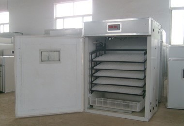 供應雅安孵化機 名山 滎經 漢源 石棉全自動孵化機 電腦孵化設備 孵化器 