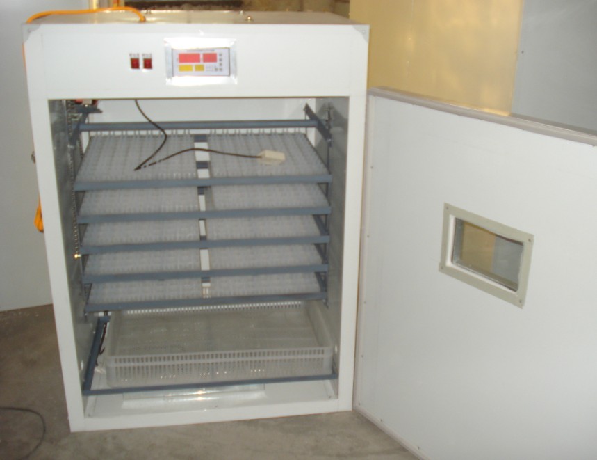 供應(yīng)鞍山市全自動(dòng)孵化機(jī)，海城市孵化設(shè)備、臺(tái)安縣孵化機(jī)