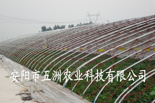 陽(yáng)光無(wú)支柱大棚 連體現(xiàn)代化大棚支架機(jī)