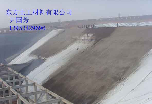 供應(yīng)土工膜，全國土工膜生產(chǎn)廠家，2.0mm土工膜價(jià)格