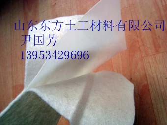 供應(yīng)土工膜規(guī)格，土工膜作用，土工膜生產(chǎn)廠家