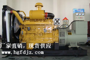 泰州華光柴油發(fā)電機組400kw上柴柴油發(fā)電機組 12V135BZLD