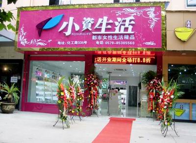 2010加盟店小資生活圓你致富夢想