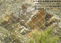 常年供應美觀大方鐵藝護欄網、衡水鐵藝