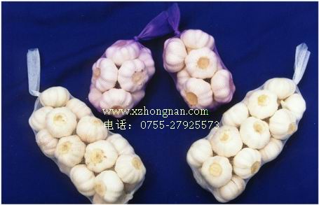 中山供應(yīng)大蒜網(wǎng)袋，供應(yīng)大蒜網(wǎng)d新中南塑膠包裝制品廠