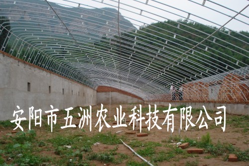 鋼管鍍塑無支柱大棚 溫室鋼管大棚 雙梁大棚骨架機