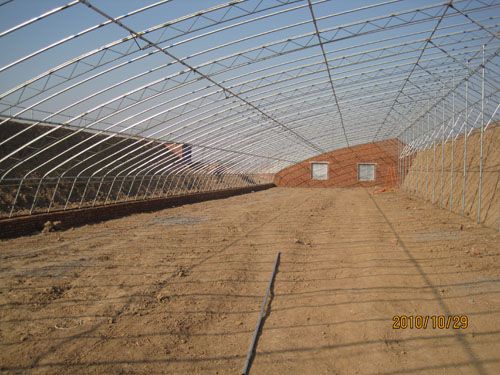 蔬菜大棚建設專家，蔬菜大棚建設，蔬菜大棚建設報價，蔬菜大棚建設材料—青州王兆民