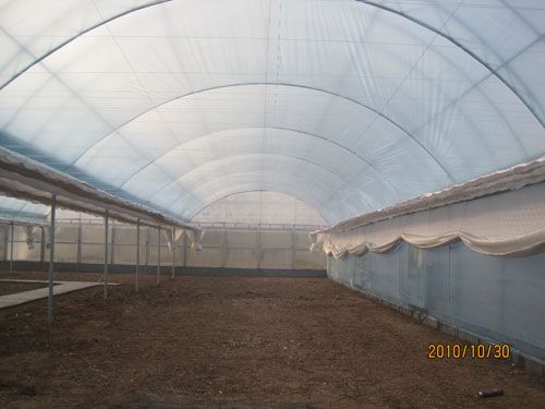 新型連棟溫室大棚，連棟溫室大棚專員，連棟溫室大棚報價，連棟溫室大棚造價—王兆民