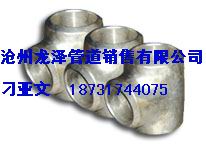 碳鋼法蘭蓋，大口徑碳鋼法蘭蓋，小口徑碳鋼法蘭蓋，12Cr1movG法蘭