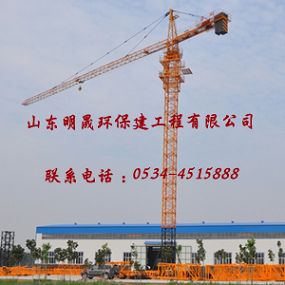 63平頭塔吊，河北秦皇島63平頭塔吊，5610型平頭塔吊，山東明晟塔機(jī)zyjl