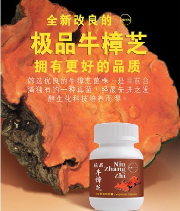 牛樟芝|紅樟芝|牛樟菇|心腦保健圣品|24帖團(tuán)購網(wǎng)