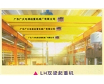 廣大1+1氧化起重機(jī) 1+1氧化起重機(jī)廠家