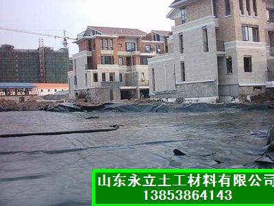 園林景觀水池HDPE土工膜廠家誠信供應(yīng)-防水熱線13853864143