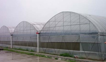 山東壽光育苗溫室|壽光雙實專業大棚建設|溫室規劃建造