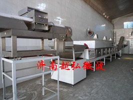 供應(yīng)tj大型100KW快餐盒飯微波加熱設(shè)備
