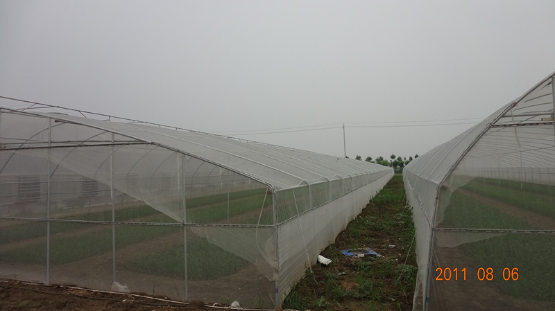 智能溫室價格|智能聯棟溫室|蔬菜大棚建設|壽光雙實