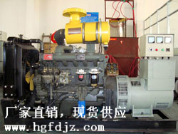 2012泰州華光柴油發電機組|柴油發電機|低噪音柴油發電機組