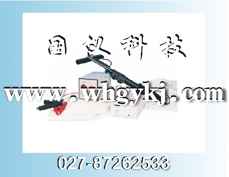 沈陽(yáng)供應(yīng)蓄電池組綜合性能測(cè)試儀|GYD-6010蓄電池組綜合性能測(cè)試儀|武漢恒新國(guó)儀