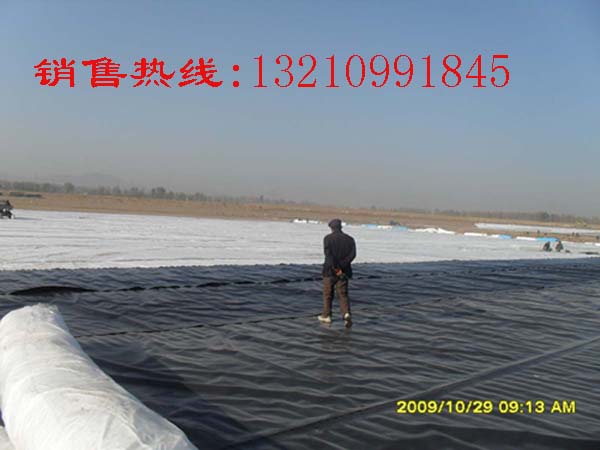山東德州{zd1}價復合排水網(wǎng)