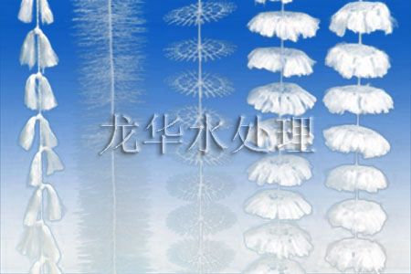 沸石濾料天津{zj0}供應(yīng)商