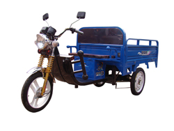 2011年中國(guó)電動(dòng)三輪車sd品牌(路安特)