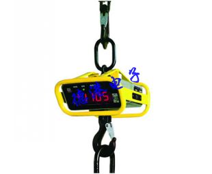 推薦：EHP電子吊鉤秤 德國(guó)技術(shù)德港衡器
