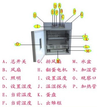 威海全自動(dòng)孵化設(shè)備柳州孵化機(jī)棗莊孵化器安陽(yáng)自動(dòng)孵化機(jī)器孵化箱