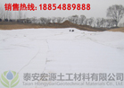 供應【三明市】新型膨潤土防水毯 膨潤土防水毯生產基地