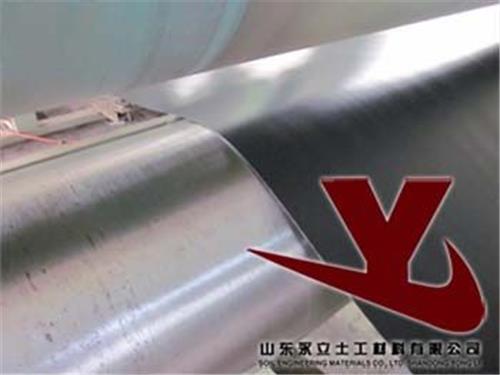 防渗膜山东土工膜厂家直销，山东永立土工膜技术{lx1}，值得信赖！